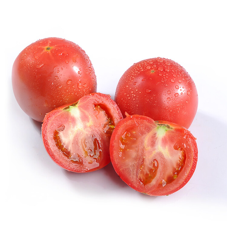 第八届京津冀蔬菜工业高质量开展大会举行