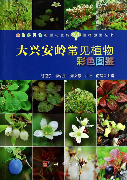 大興安嶺常見植物彩色圖鑑/生物多樣性觀測與宣傳植物圖鑑叢書