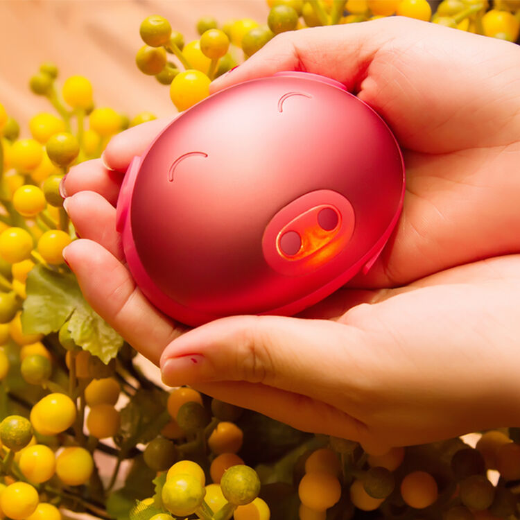 猪师兄usb暖手宝充电移动电源可爱迷你暖宝宝防爆速效电热饼 猪师兄