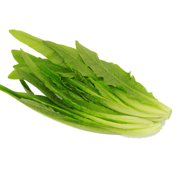 绿鲜知 油麦菜 约400g 火锅涮菜 新鲜蔬菜