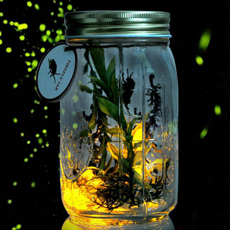 创意礼品 浪漫萤火虫罐 新奇特创意生日礼物发光萤火虫许愿罐七夕情人