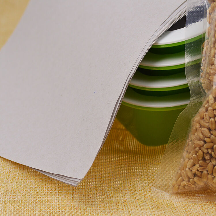 落红纸上种菜无土栽培芽苗菜双层育苗盘水培蔬菜无味托盘育苗盆育苗纸