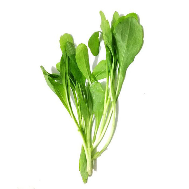 降价提醒评价: 条 送至 数量 评价 好评  共  条兰