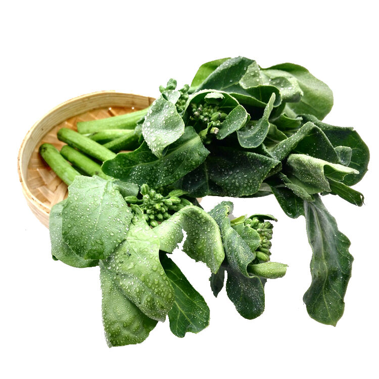 大菜园 广东芥蓝 500g 中花芥蓝新鲜时鲜蔬菜 日天 生鲜