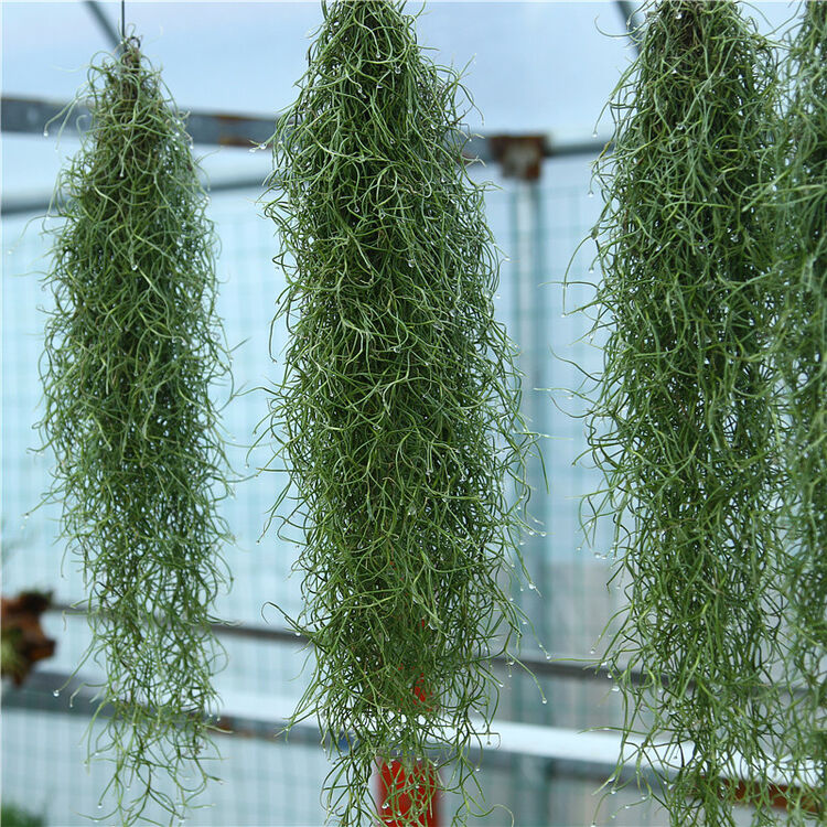 京东购物-商品详情