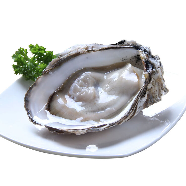 岱君 鲜活生蚝2.5kg海蛎子 牡蛎生鲜水产