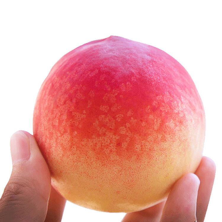 京东购物-商品详情