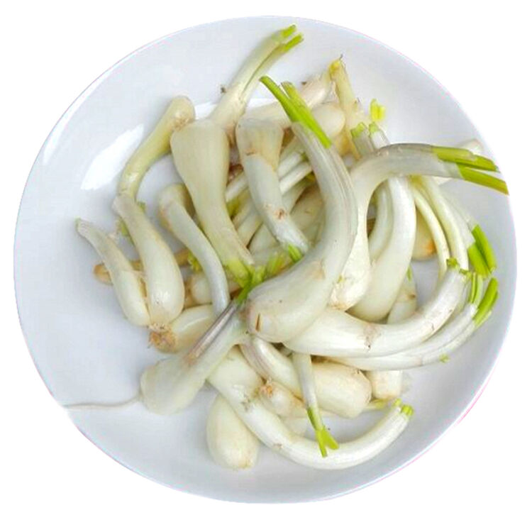 裕泰 江西新余农家现挖新鲜荞头藠头茭头葱 2kg
