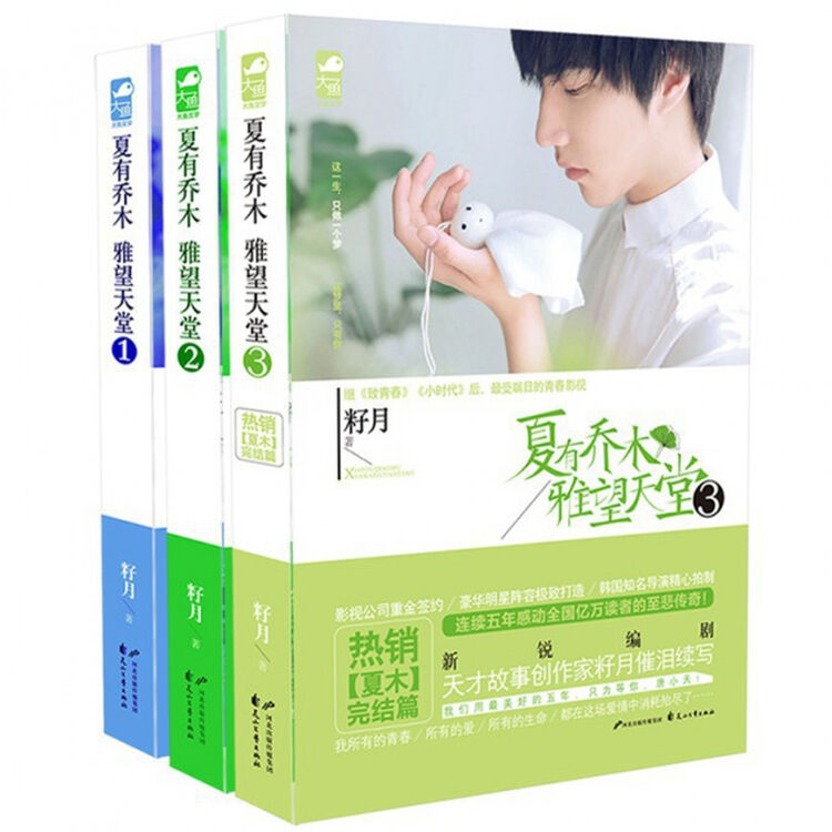 夏有乔木雅望天堂(共3册)