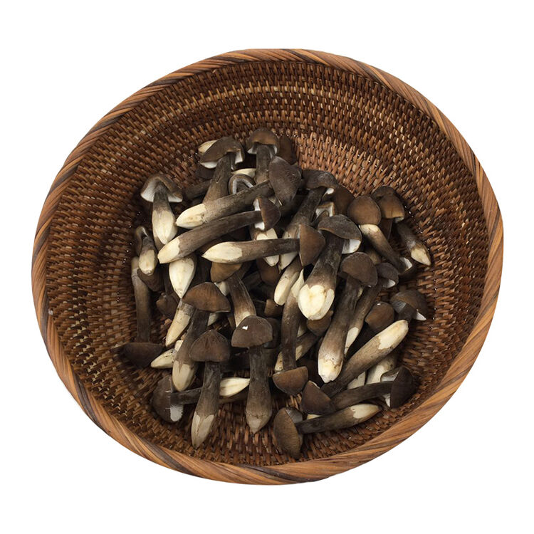 东源兴 鸡纵芽 约200g 新鲜蔬菜