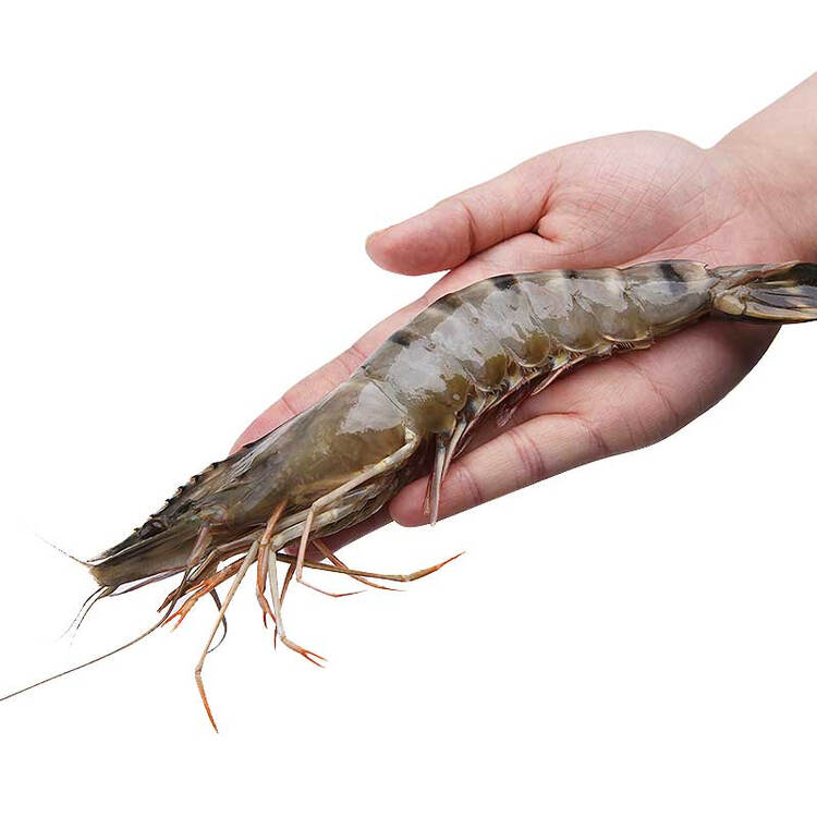 领鲜未来 大连海捕活冻黑虎虾 1000g 盒装 火锅烧烤 15只装