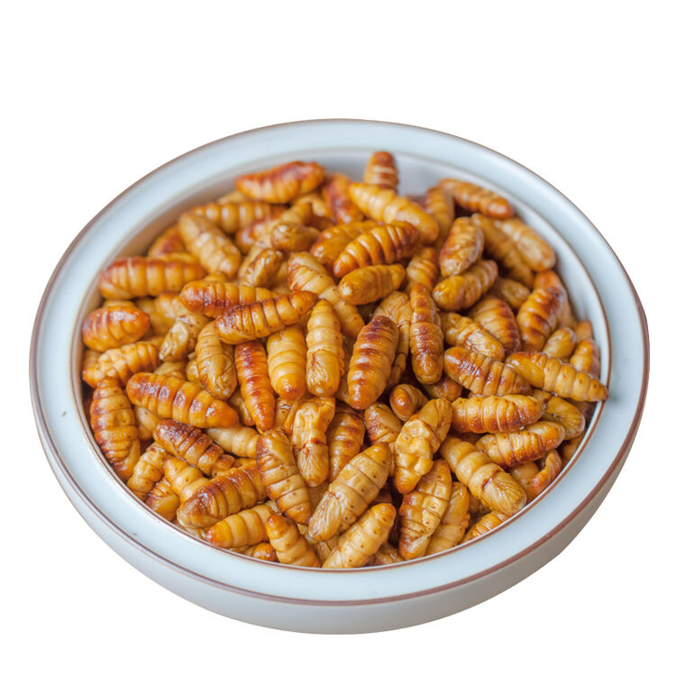 森珍绿业 山东青岛新鲜速冻小蚕蛹 桑蚕蛹 柞蚕蛹 1000g 袋装