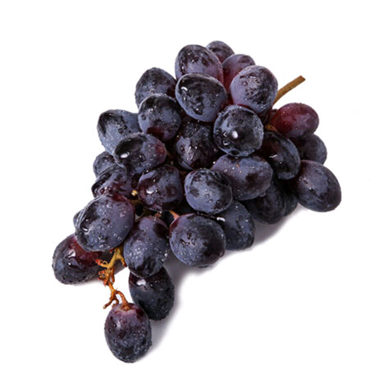 进口黑提 黑加仑 2.5kg新鲜