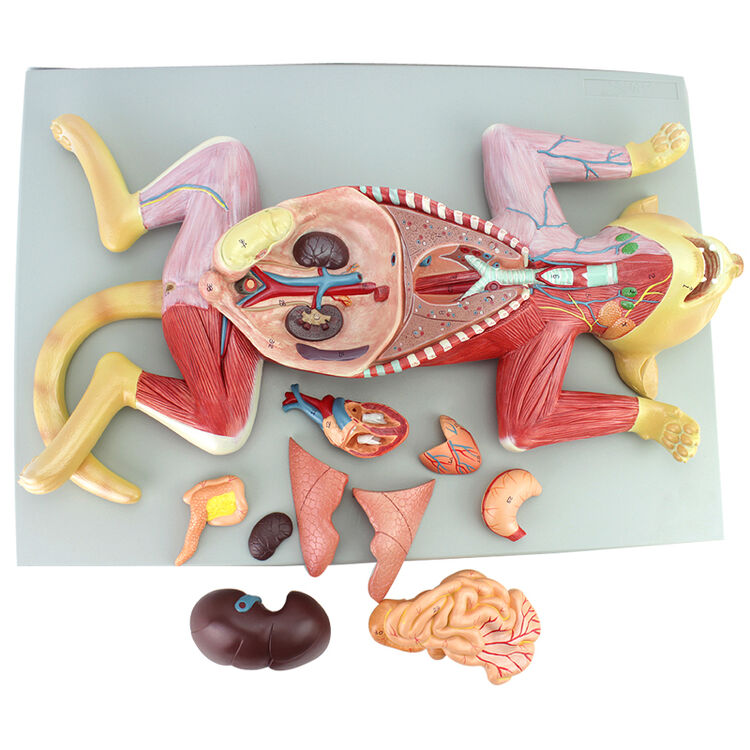 京东购物-商品详情