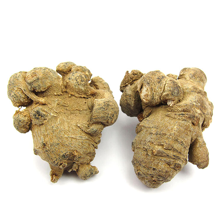 然生三七云南文山三七15头田七三七头500g