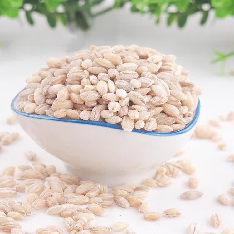 家家康 桢品小麦仁 去皮小麦仁大麦米500g