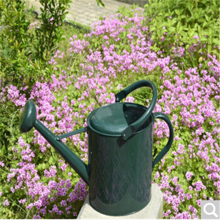 花园工具园艺种菜铁皮浇水壶洒水壶大浇花壶喷水壶大