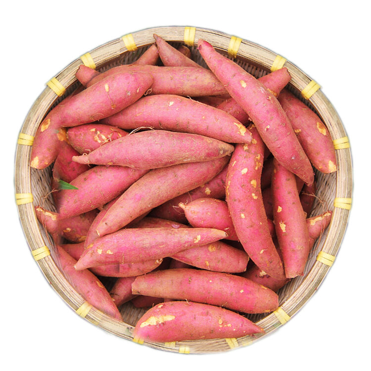 广东湛江金手指小香薯 新鲜红薯沙地黄心板栗番薯地瓜山芋 中果 2.5kg