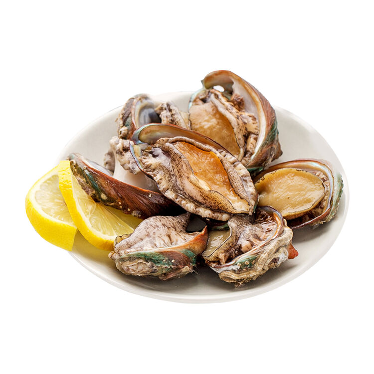 【活鲜】大连鲜活鲍鱼 500g 约15-18头 海鲜水产