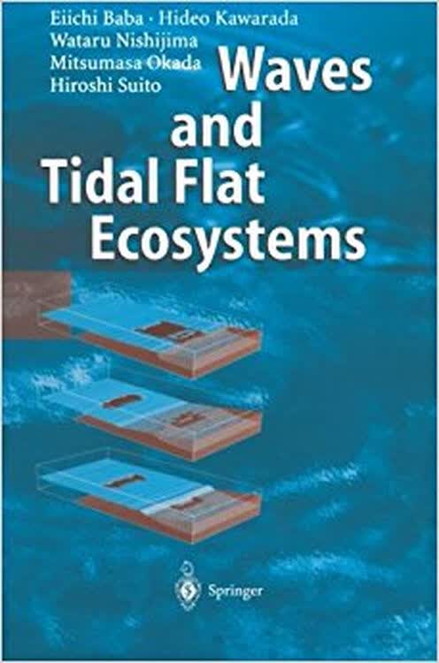 waves and tidal flat ecosystems