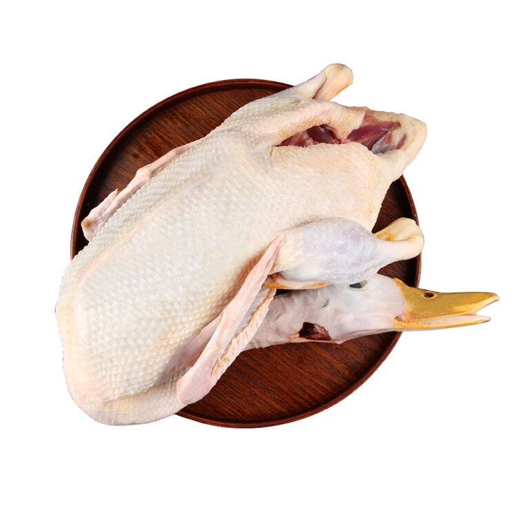 天农 广东飞鸭 750g/袋 湖畔散养水鸭