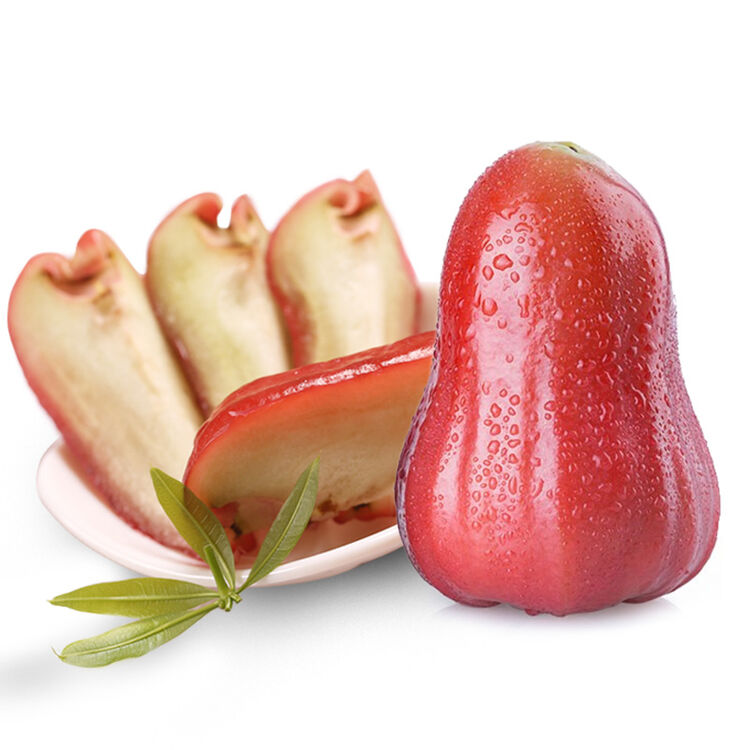 帆儿庄园 海南牛奶莲雾 2.5kg