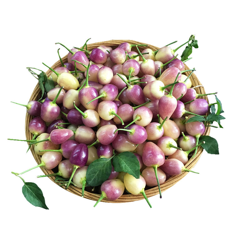 广西特产新鲜七彩椒五彩辣椒五色椒灯笼椒 5kg