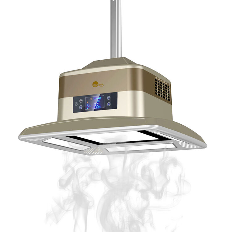 祥阳jd吸烟灯空气净化器棋牌麻将室消烟宝 悬挂吊顶式烟雾净化灯 jd