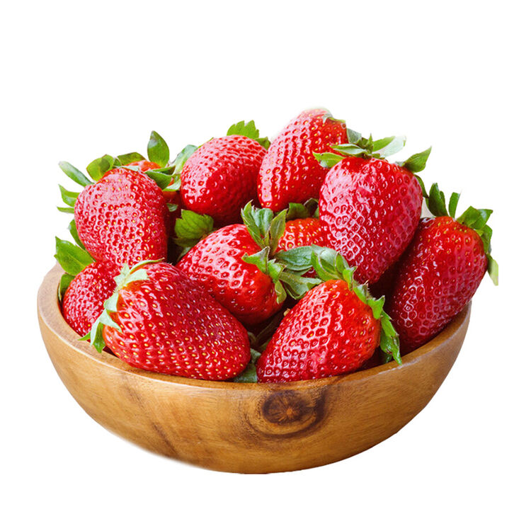 四川双流 牛奶巧克力奶油草莓 新鲜草莓水果 1.5kg 礼盒装