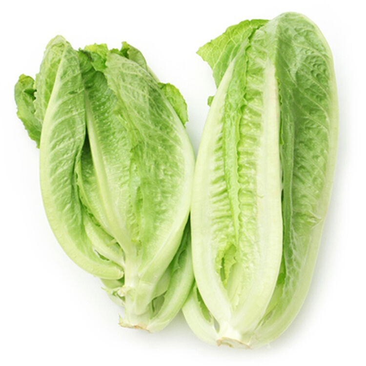 包心罗马生菜1kg 包心罗纹 沙拉菜 新鲜蔬菜
