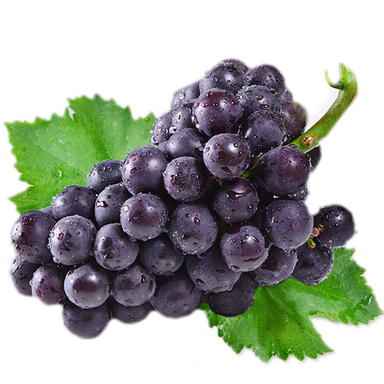 京东购物-商品详情