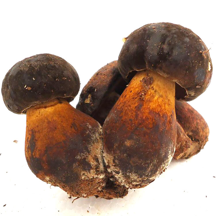 京东购物-商品详情