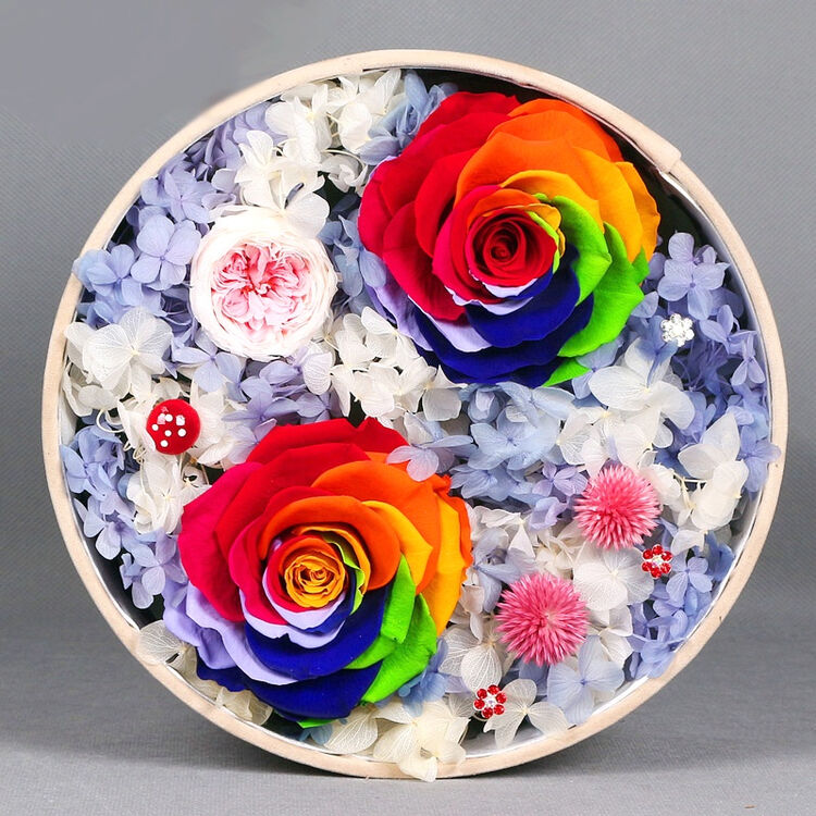 巧醇进口巨型永生花礼盒七彩玫瑰保鲜花生日情人节母亲节礼物南京鲜花