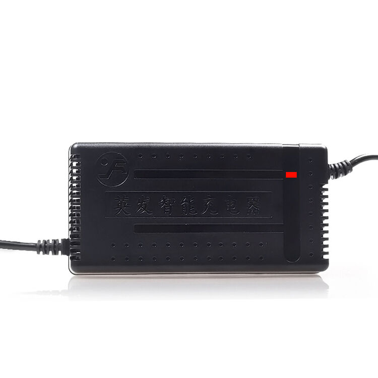 英发 智能定时电瓶车电动车充电器36v48v60v72v爱玛雅迪新日小飞哥