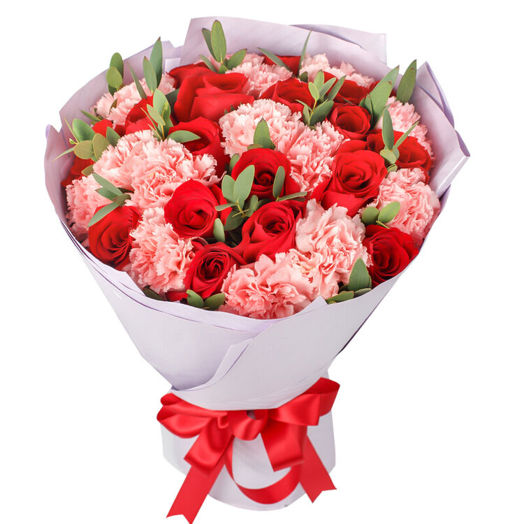 花之苑 鲜花速递33朵康乃馨花束母亲节全国送花北京上海广州生日送