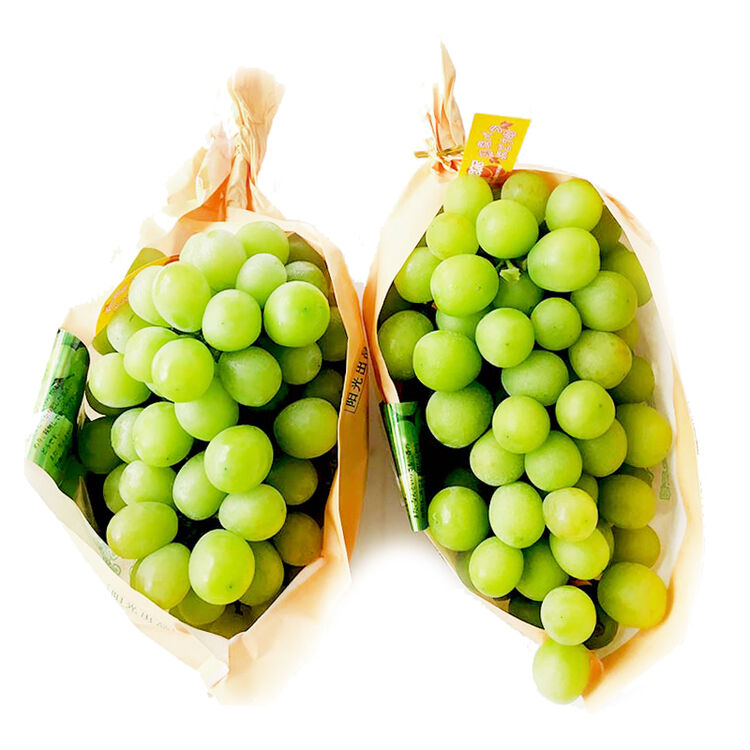 云南阳光无籽青提新鲜提子葡萄水果1包 约700g