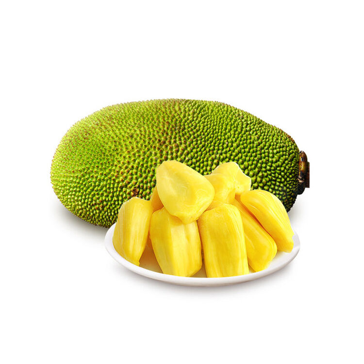 海南菠萝蜜新鲜水果1个装 (10kg左右)