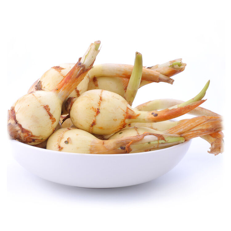 新鲜蔬菜 云南白茨菇茨菰燕尾草鲜慈菇 3kg