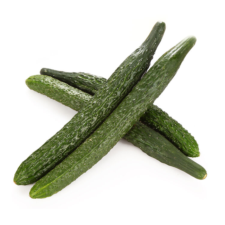 寻天果蔬 密云本地绿黄瓜 2kg