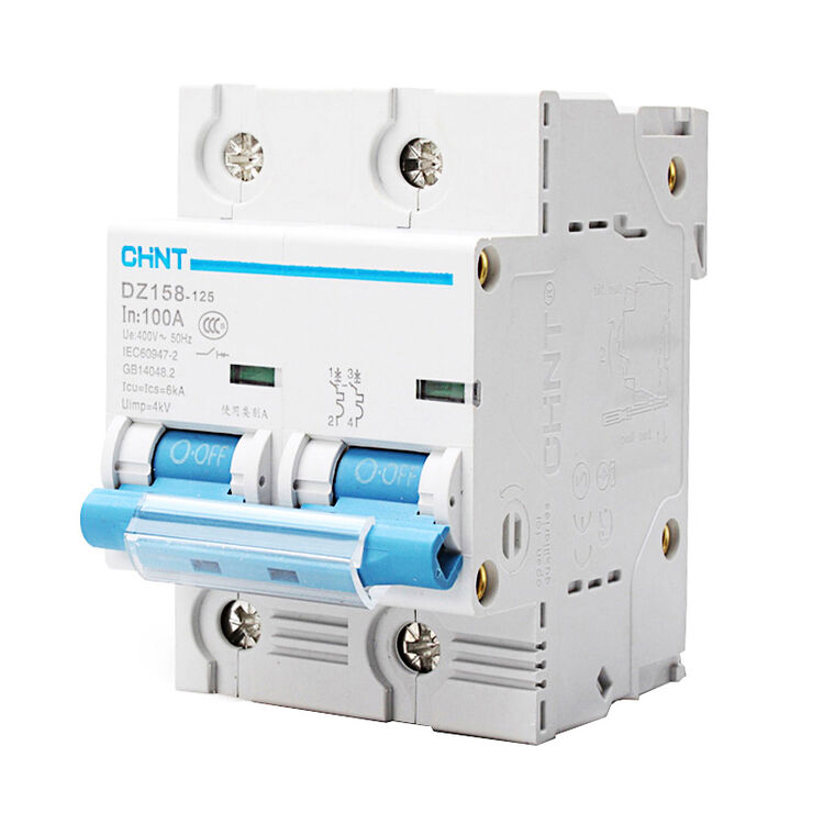 正泰(chnt) 断路器 空气开关 家用空开 2p 100a c型 dz158