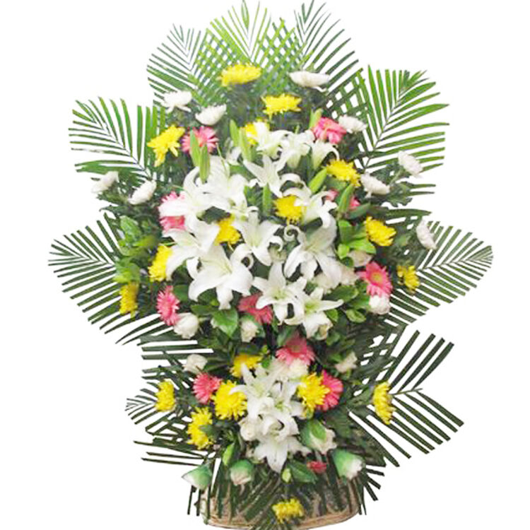 爱诺啦 菊花清明节扫墓鲜花菊花祭奠悼念花圈丧葬鲜花丧礼花束花篮 q