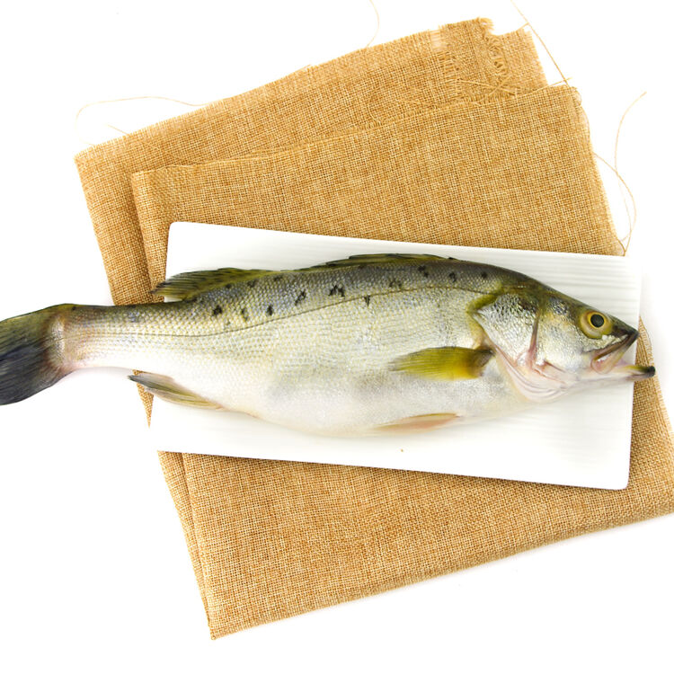 空运 野生海鲈鱼 寨花鱼 海鱼 1条