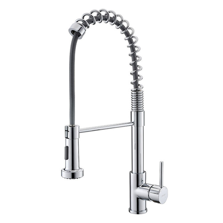 德国黑森林卫浴全铜弹簧抽拉厨房龙头可旋转多功能喷头喷洒头水槽洗菜