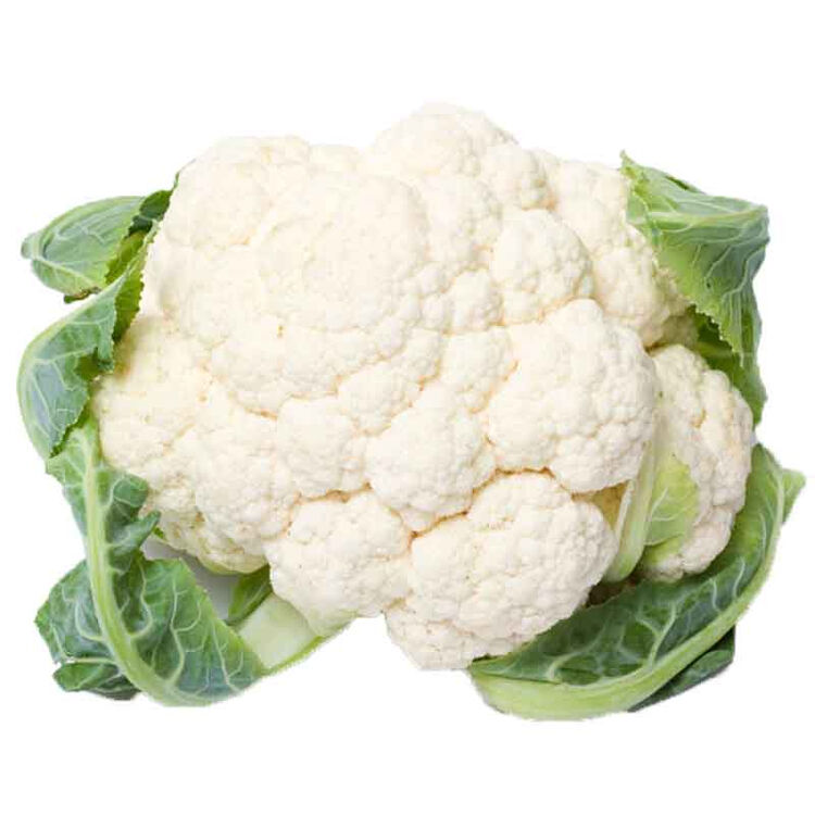 花菜2 5kg白花菜花椰菜椰菜花白洋花菜球花甘新鲜蔬菜产发 图片价格品牌评论 京东