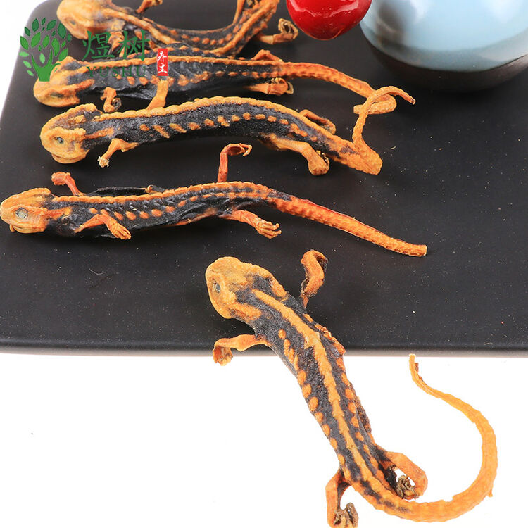 煜树 海狗 泡酒药材 海狗鞭 海狗肾 泡酒料 泡酒海狗 深海海狗 海狗5