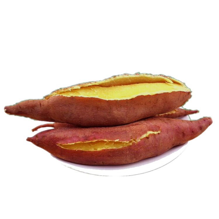 陕西板栗红薯 沙地板栗薯 红皮番薯山芋地瓜小香薯 新鲜蔬菜 5kg