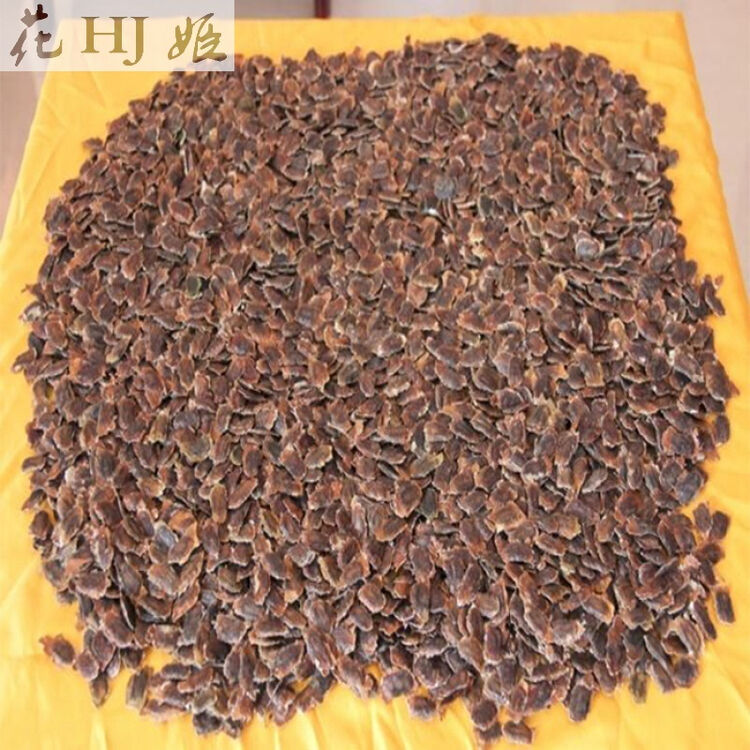 花姬 海南黄花梨种子 油梨种子 红木降香黄檀树种子 1斤 1斤