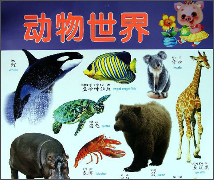 阳光宝贝炫彩挂图:动物世界