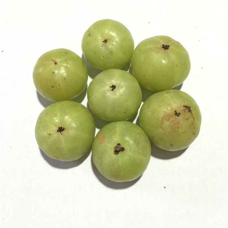 金腰芒 新鲜油甘果 牛甘果 余甘子 油柑 3斤【图片 价格 品牌 评论】