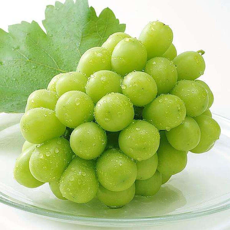 京东购物-商品详情